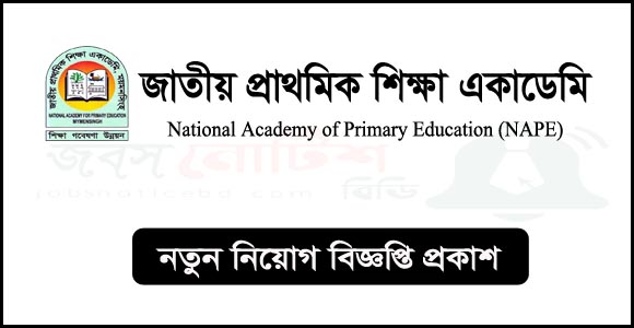 জাতীয় প্রাথমিক শিক্ষা একাডেমি নিয়োগ, ৪০ বছরে ও আবেদন